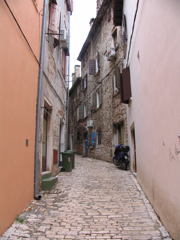 2012-09-13 14-11-43 Ludo.JPG